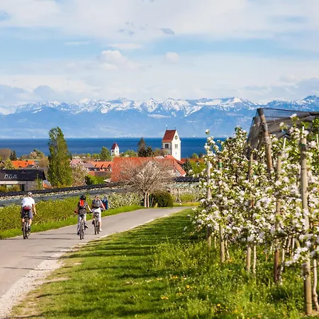 Bodensee-suite I Seenaehe - Heimkino - Wintergarten Daire Ohningen